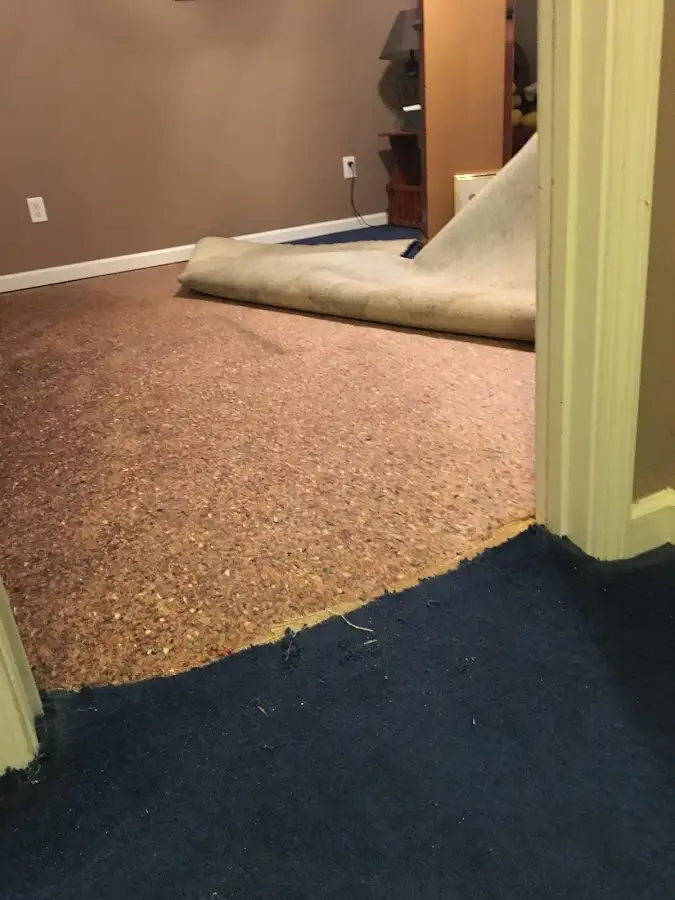 Carpet pad removal revealing water damage during Water Mitigation Services in Pueblo