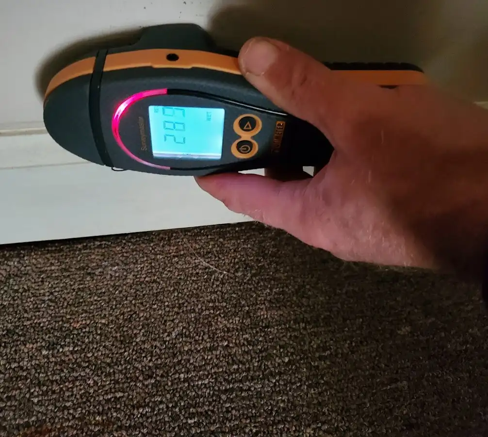 Moisture detection at baseboard during Burst Pipe Cleanup in Pueblo